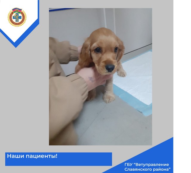 foto 2025 04 08 13 30 10